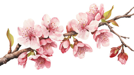 a collection of grunge oil painted cherry blossoms isolated on a transparent background, generative...