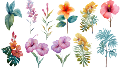 a collection of grunge oil painted tropical beach flowers isolated on a transparent background, generative ai