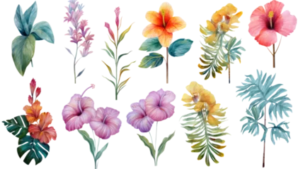 Zelfklevend Fotobehang a collection of grunge oil painted tropical beach flowers isolated on a transparent background, generative ai © Perfect PNG