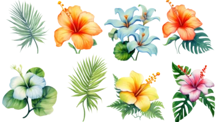 Zelfklevend behang Tropische planten a collection of grunge oil painted tropical beach flowers isolated on a transparent background, generative ai