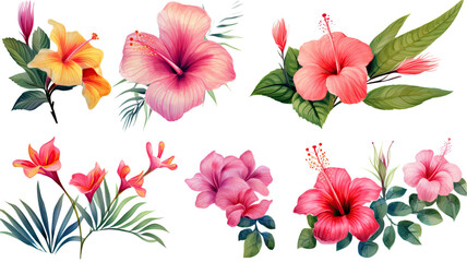 a collection of grunge oil painted tropical flowers isolated on a transparent background, generative ai
