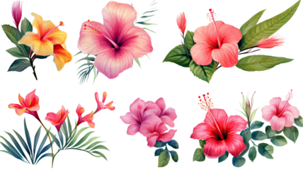 a collection of grunge oil painted tropical flowers isolated on a transparent background, generative ai