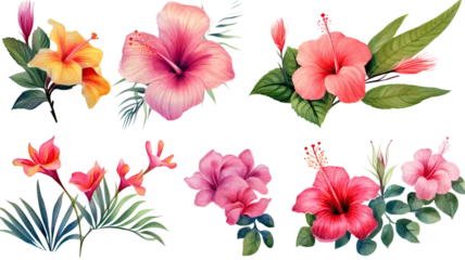  a collection of grunge oil painted tropical flowers isolated on a transparent background, generative ai © Perfect PNG