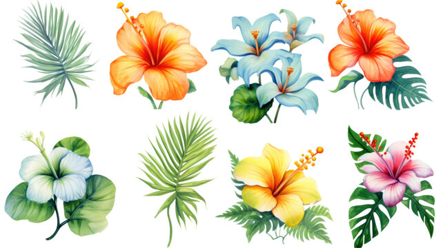 a collection of grunge oil painted tropical beach flowers isolated on a transparent background, generative ai