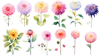 Fototapeta na wymiar a collection of soft watercolor dahlias flowers isolated on a transparent background, generative ai