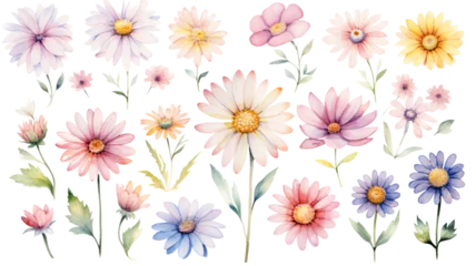 Fotobehang a collection of soft watercolor daisies flowers isolated on a transparent background, generative ai © Perfect PNG