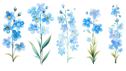 a collection of soft watercolor forget-me-nots flowers isolated on a transparent background, generative ai