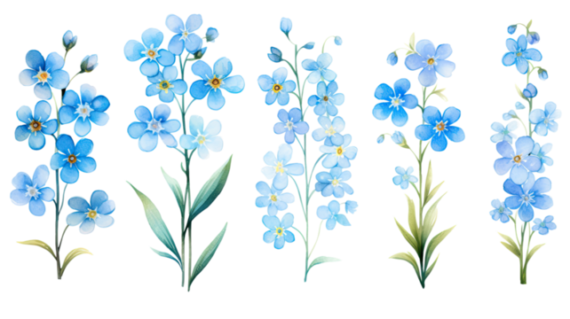 a collection of soft watercolor forget-me-nots flowers isolated on a transparent background, generative ai