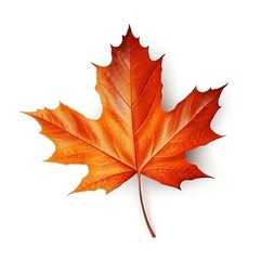 Fototapeta premium Autumn leaf isolated. Illustration AI Generative.