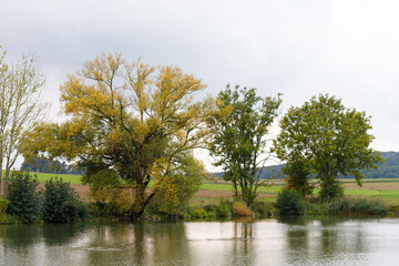 Naßwiesen, Germany, bathing lake at summer