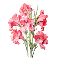 Fototapeta premium Gladioli watercolor flowers. Illustration AI Generative.