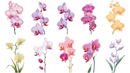 Rolgordijnen a collection of orchids flowers isolated on a transparent background, generative ai © Perfect PNG