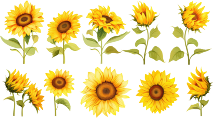 a collection of retro oil painted sunflowers flowers isolated on a transparent background, generative ai