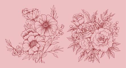 illustration of a flowers, floral illustration