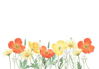 Bright banner of summer flowers hand-drawn in watercolor.