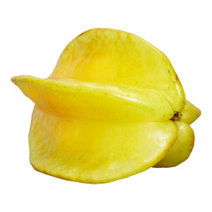 Tropical Star Fruit Cutout