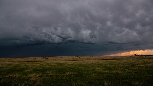 Supercell Thunderstorm moving above Colorado Plains, Cows Time Lapse