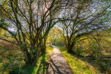 Camino a la laguna de San Martiño, Ortigueira, A Coruña, Galicia, España.