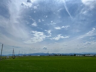 220703田んぼ蔵増
田んぼ
空
雲
晴れ
天童市蔵増