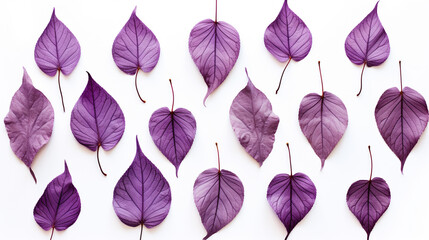 purple leaf skeletons on a white background abstract patern,  Created using generative AI tools.