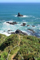 Photo of a scenic path leading to the ocean with a beautiful rock outcropping in Chiloe, Chile