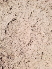 Dry soil summer time texture background 