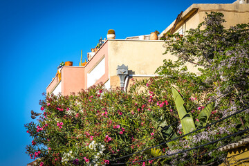 neve tzedek neighbourhood, tel aviv, israel, palm trees, middle east