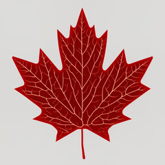 Naklejka premium red maple leaf