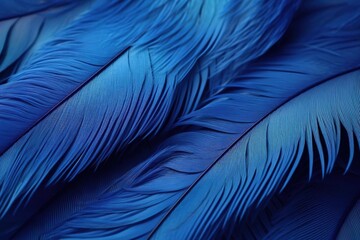 Serenity Blue feathers background