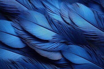 Feathers background, Serenity Blue feathers background,  