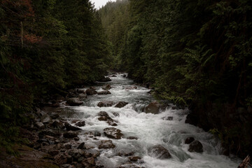 Fototapeta premium waterfall in the woods