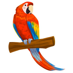 Ilustraci√≥n ave nacional Honduras guacamaya escarlata o bandera © TatyOrantes