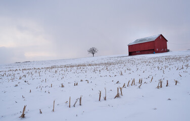 Red barn in the winter