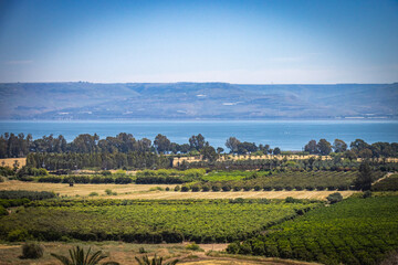 Fototapeta na wymiar Sea of Galilee, golan heights, israel, holy land, middle east