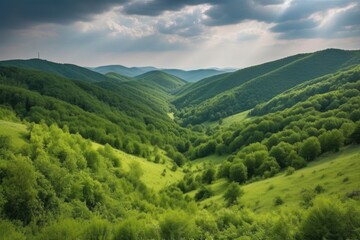 rolling hills with deep green forests in the background, created with generative ai
