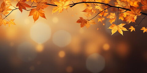 Autumn background with dry leaves, for ad or product