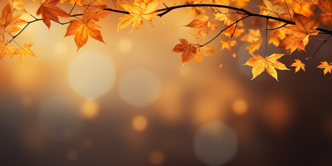 Fototapeta premium Autumn background with dry leaves, for ad or product