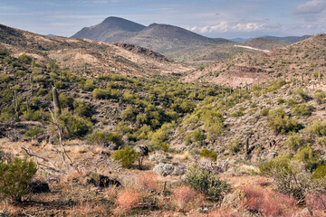Fototapeta na wymiar Open desert views across Cave Creek Regional Park, Arizona