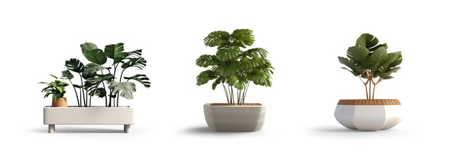 collection Set of different styles of outdoor seats and tree pot in modern design cutouts isolated on transparent background - Generative AI