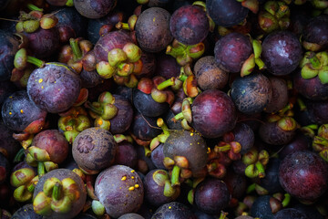 fresh purple mangosteen The fruit is known as the queen of fruits, mangosteen fruit, in the Thai market.
