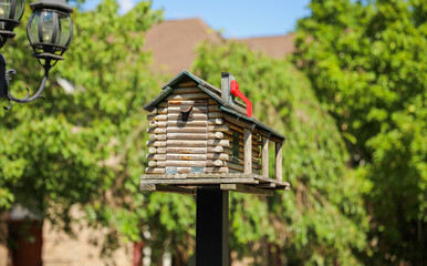 mailbox stands tall against a backdrop of greenery, symbolizing communication, connection, and the exchange of thoughts and emotions