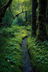 Obraz premium winding grass path through a lush woodland landscape, created with generative ai