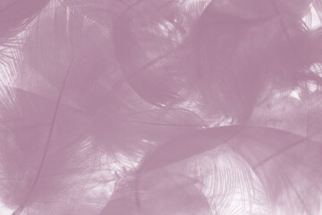 violet feather pattern texture background , pastel color style