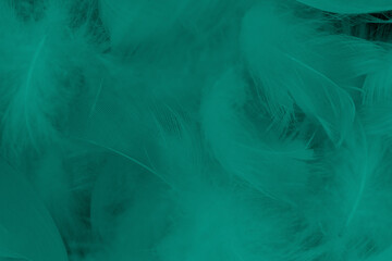 Fototapeta na wymiar Beautiful dark green vintage color trends feather texture background