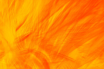 Orange yellow feather texture pattern background