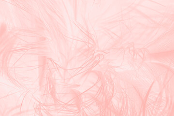 Beautiful soft pink white feather pattern texture background