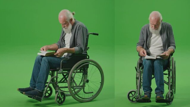 2-in-1 Split Green Screen Montage. Portrait of a Smart Old Man in a Wheelchair ,With Gray Beard, Reading a Book. An Elderly Man Flips Through the Pages of a Book. Leisure, Hobby Concept.