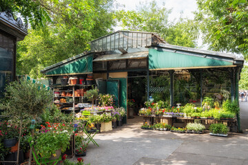 Flowers and plant shop in paris