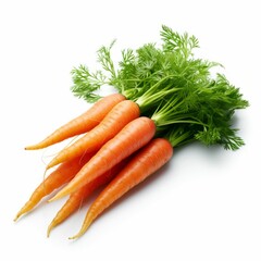Garden Fresh Carrots Isolated on White Background Food Illustration