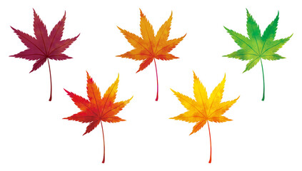 秋の日本のもみじの葉の素材。水彩風タッチ